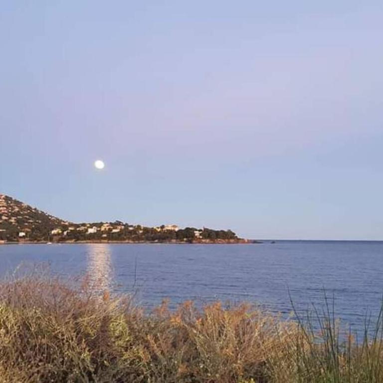 Nid d'Azur à Cap Esterel - Côte d'Azur - VUE MER - Climatisé - Piscines - Appartement 1 Chambre - 26