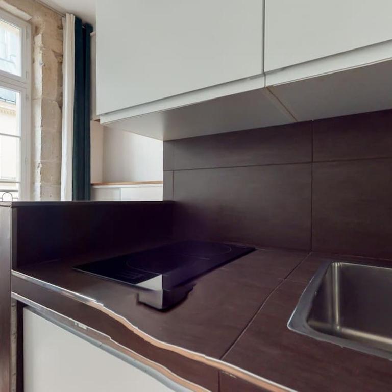 Chez Gustave: CLIM Calm,Saint Paul Marais, 2Guests - One-Bedroom Apartment - 5