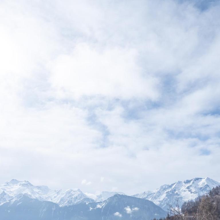Alpe d'Huez Houses - Chalet Gustave - Beau chalet 4 chambres 50m piste Huez Express - Chalet Supérieur - 22