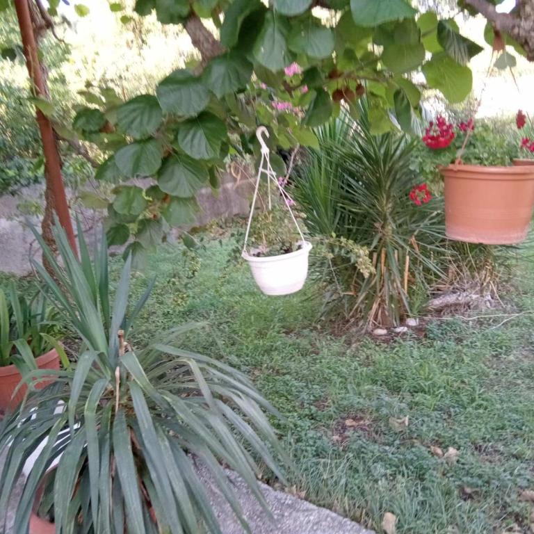 Apartman Ipak Se Okrece - One-Bedroom Apartment - 7