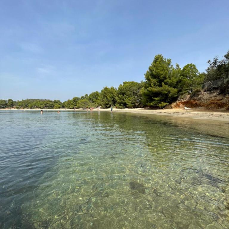 Appartement plage piscine et tennis inclus - One-Bedroom Apartment - 50