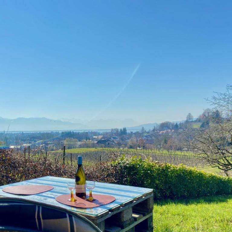 Ferienwohnung Weinberg-Idyll - Traumhafter Blick über Weinberge auf den Bodensee - Appartamento con Vista Lago - 3