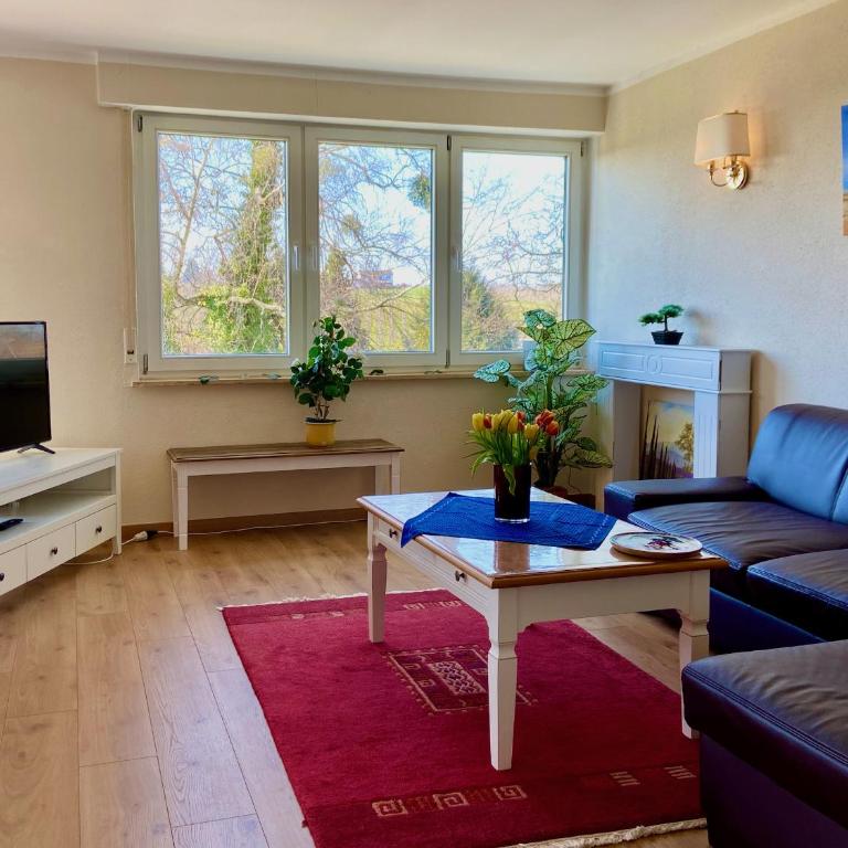 Ferienwohnung Weinberg-Idyll - Traumhafter Blick über Weinberge auf den Bodensee - Appartamento con Vista Lago - 9