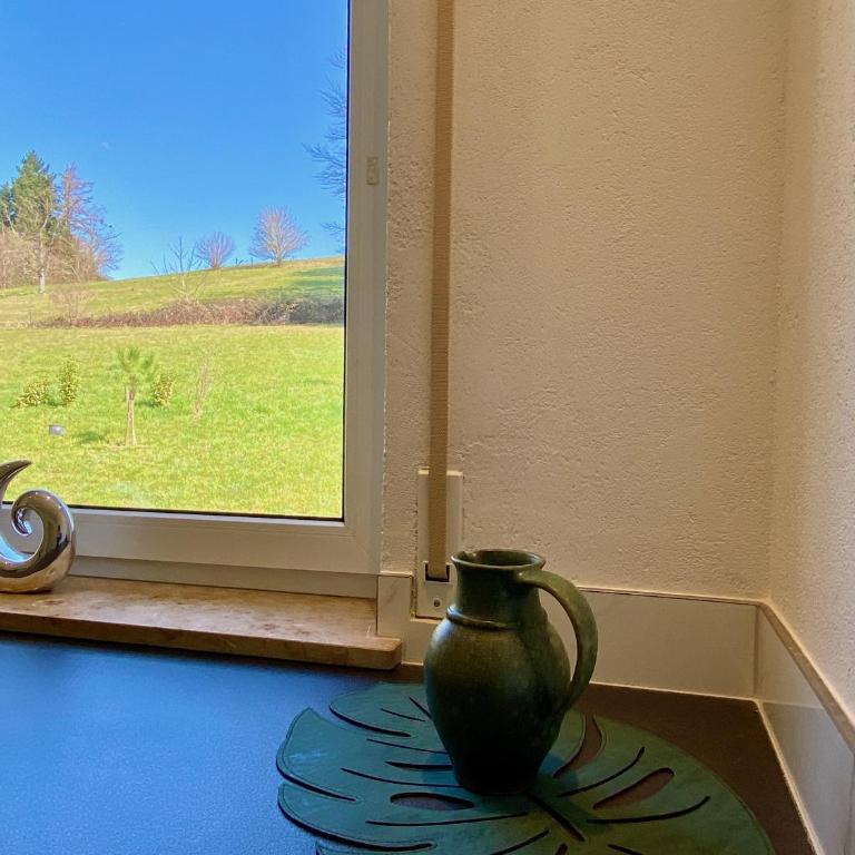 Ferienwohnung Weinberg-Idyll - Traumhafter Blick über Weinberge auf den Bodensee - Appartamento con Vista Lago - 13
