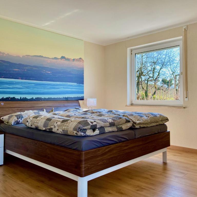 Ferienwohnung Weinberg-Idyll - Traumhafter Blick über Weinberge auf den Bodensee - Appartamento con Vista Lago - 14