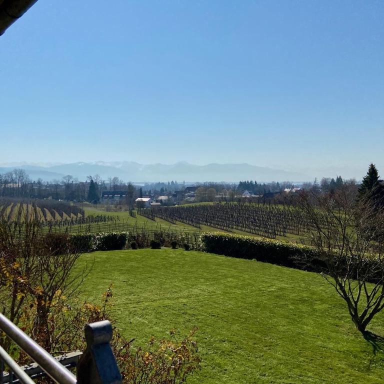 Ferienwohnung Weinberg-Idyll - Traumhafter Blick über Weinberge auf den Bodensee - Appartamento con Vista Lago - 22
