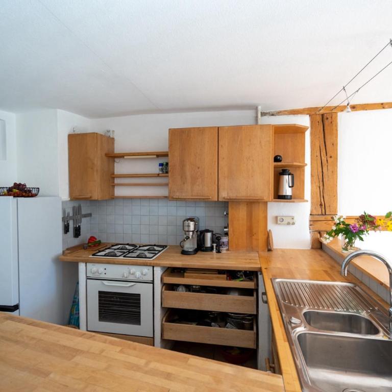 Ferienwohnung Idylle am See - idyllisch auf der Insel mit Balkon und Seesicht und direkter Seelage - Appartamento con Vista Lago - 7
