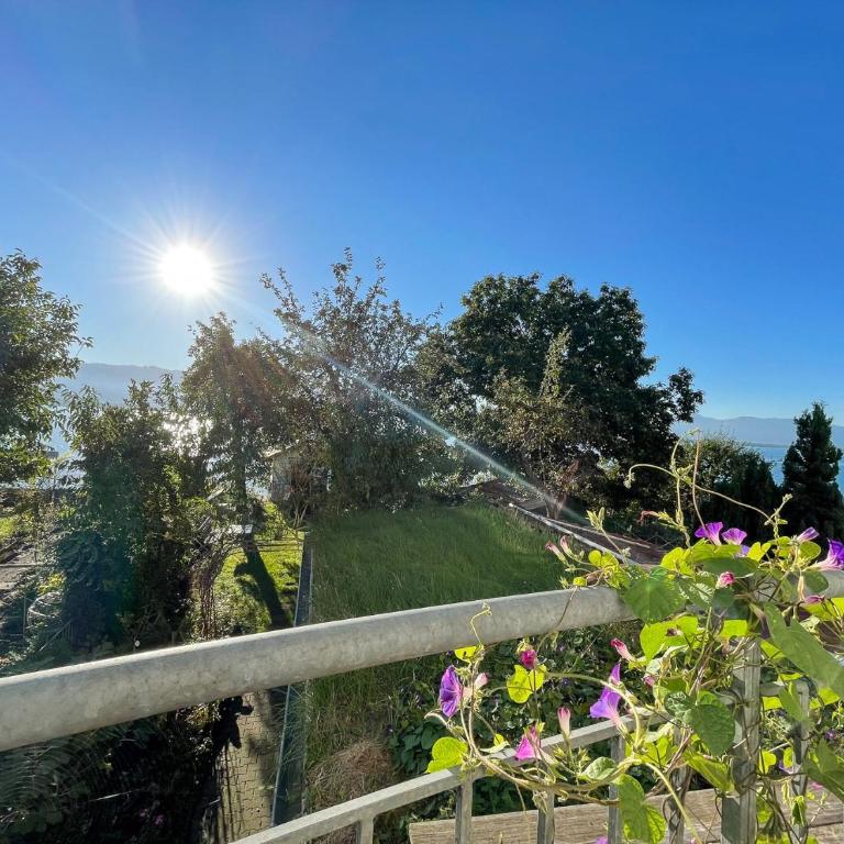 Ferienwohnung Idylle am See - idyllisch auf der Insel mit Balkon und Seesicht und direkter Seelage - Appartamento con Vista Lago - 16