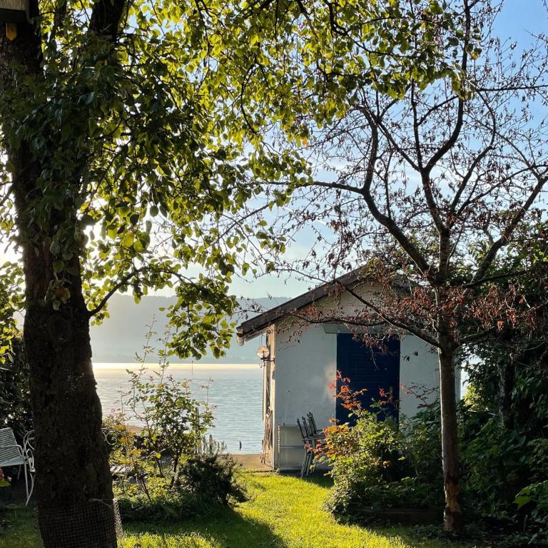 Ferienwohnung Idylle am See - idyllisch auf der Insel mit Balkon und Seesicht und direkter Seelage - Appartamento con Vista Lago - 18