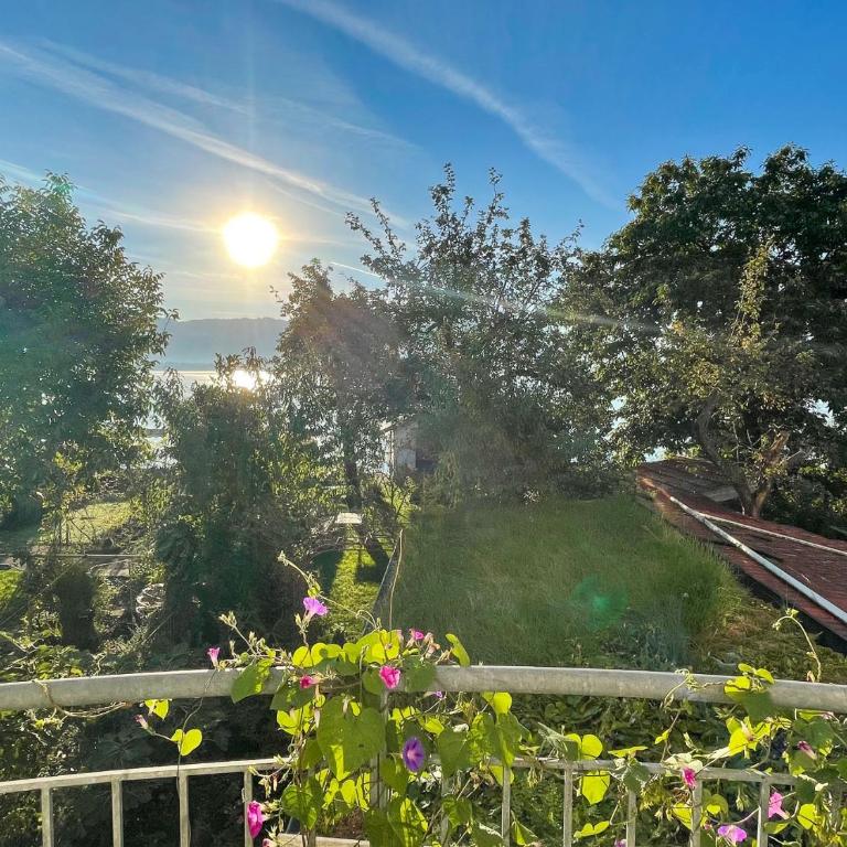 Ferienwohnung Idylle am See - idyllisch auf der Insel mit Balkon und Seesicht und direkter Seelage - Appartamento con Vista Lago - 19