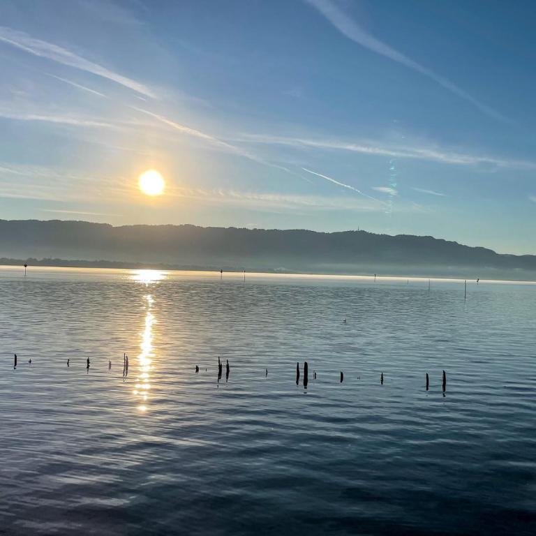 Ferienwohnung Idylle am See - idyllisch auf der Insel mit Balkon und Seesicht und direkter Seelage - Appartamento con Vista Lago - 21