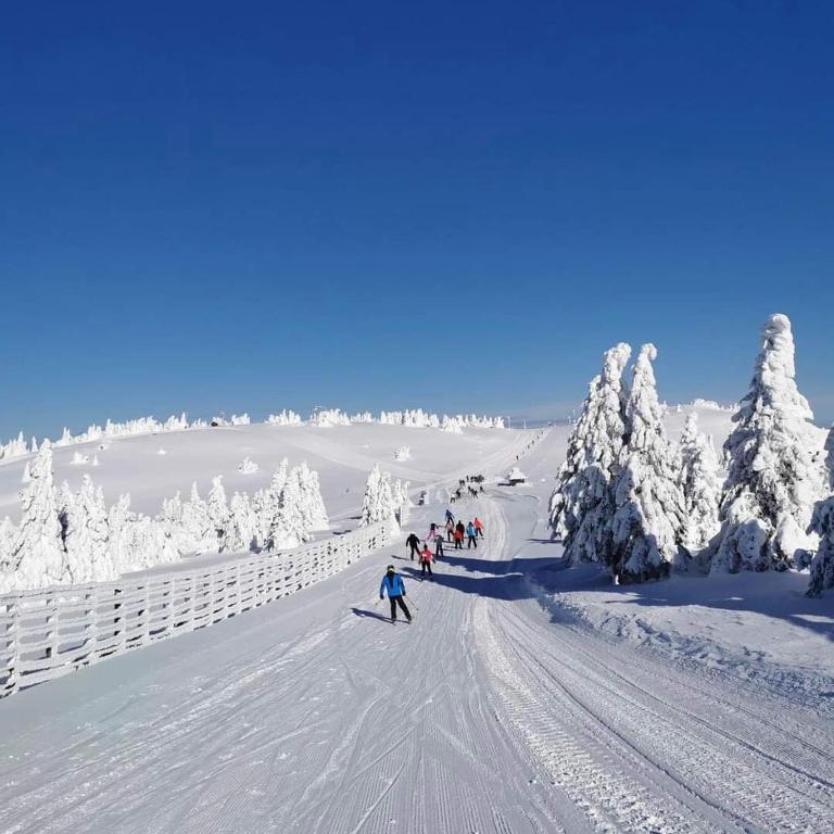 WOODSIDE Apartment M Kopaonik FREE Parking - Apartment with Garden View - 41