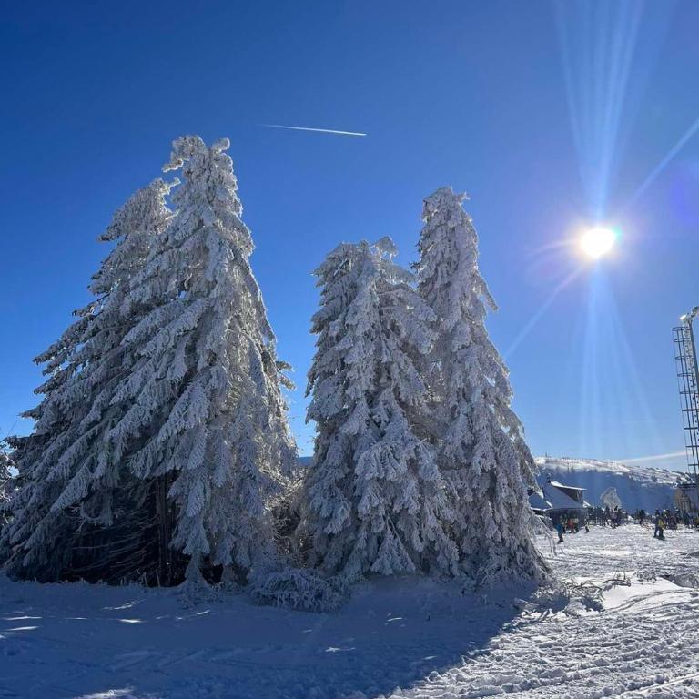 WOODSIDE Apartment M Kopaonik FREE Parking - Apartman sa Pogledom na Vrt - 46