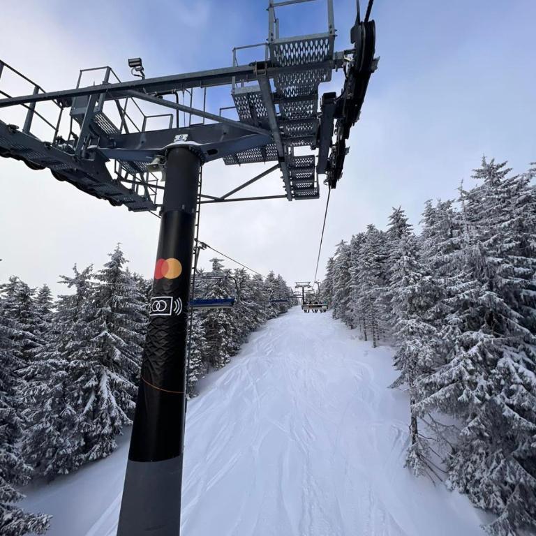 WOODSIDE Apartment M Kopaonik FREE Parking - Apartment with Garden View - 48