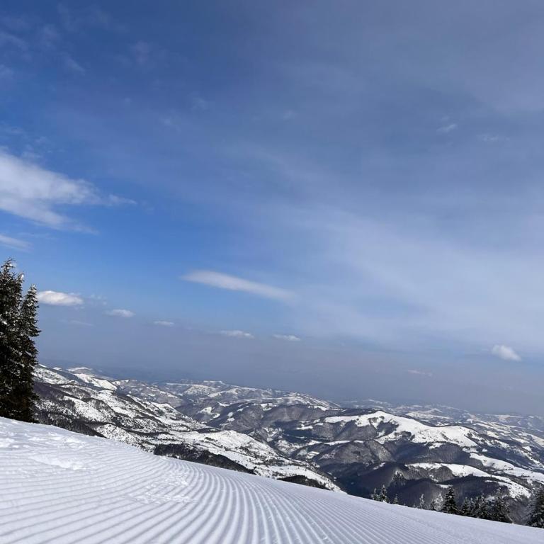 WOODSIDE Apartment M Kopaonik FREE Parking - Apartment with Garden View - 49