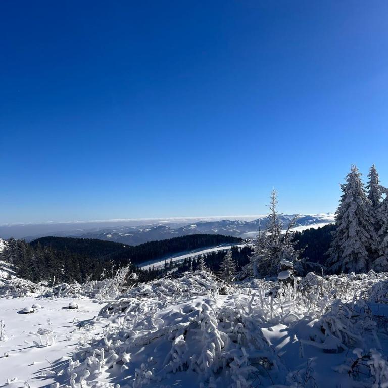 WOODSIDE Apartment M Kopaonik FREE Parking - Apartment with Garden View - 51