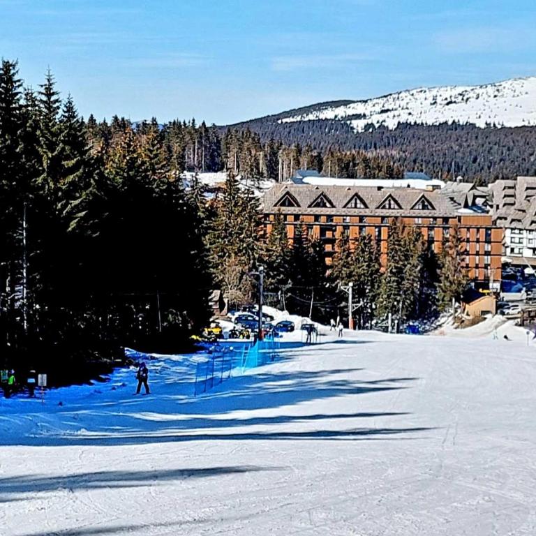 WOODSIDE Apartment M Kopaonik FREE Parking - Apartment with Garden View - 52