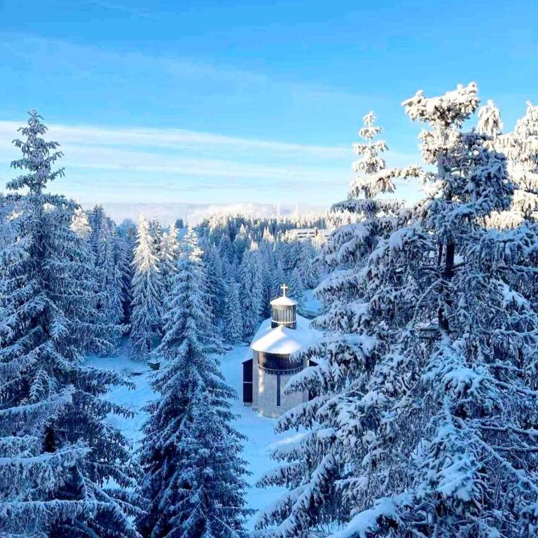 WOODSIDE Apartment M Kopaonik FREE Parking - Apartment with Garden View - 55