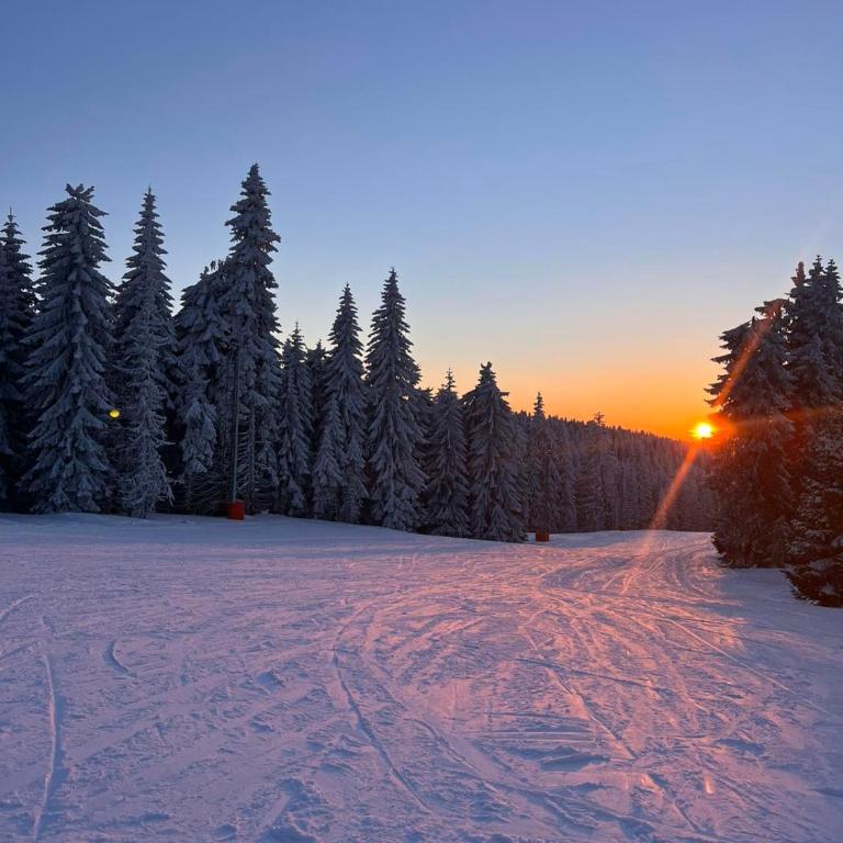 WOODSIDE Apartment M Kopaonik FREE Parking - Apartment with Garden View - 60