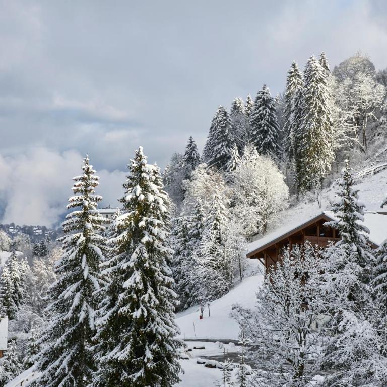 Hôtel L'Arboisie - Grande Suite avec Balcon et Goûter (de Décembre à Avril) - Vue sur Megève - 2