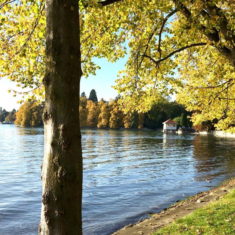 Ferienwohnung Insel-Ambiente - Hochwertig und großzügig auf der Insel Lindau - Appartamento con 1 Camera da Letto - 15