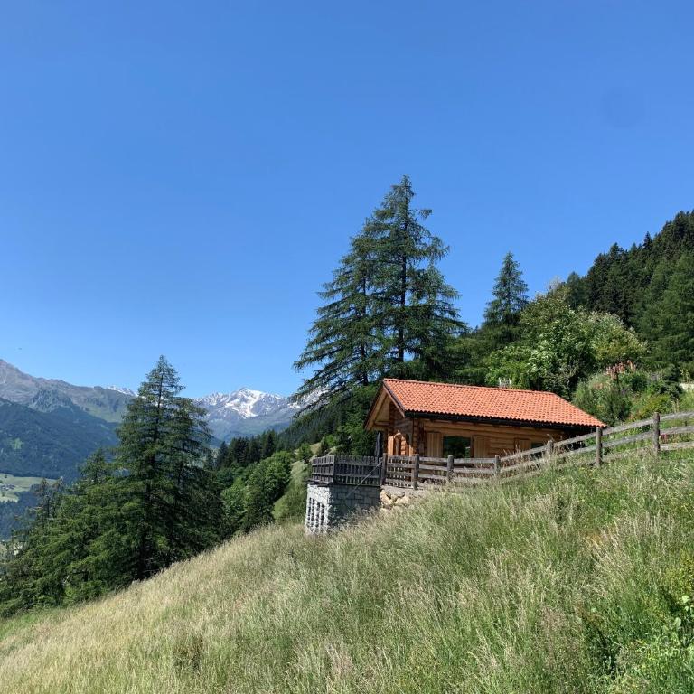 Chalet Leitn-Anger - Chalet - 1