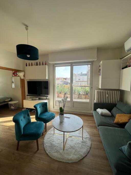 Appartement cosy orangerie - Appartamento con 1 Camera da Letto - 13