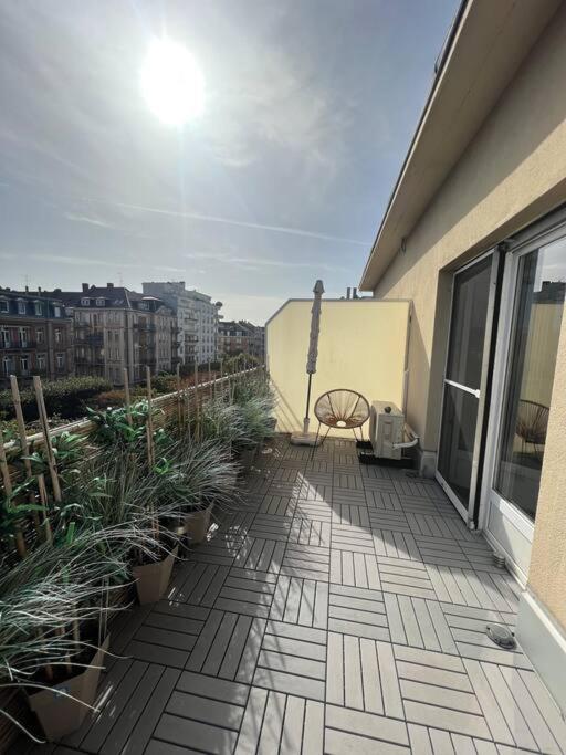 Appartement cosy orangerie - Appartamento con 1 Camera da Letto - 16