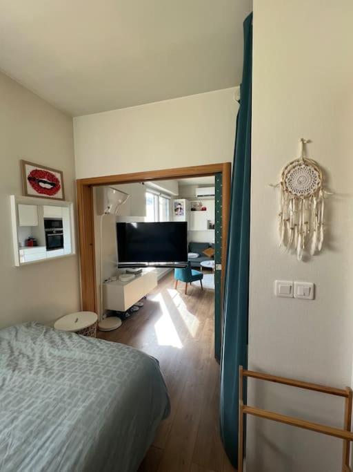 Appartement cosy orangerie - Appartamento con 1 Camera da Letto - 25