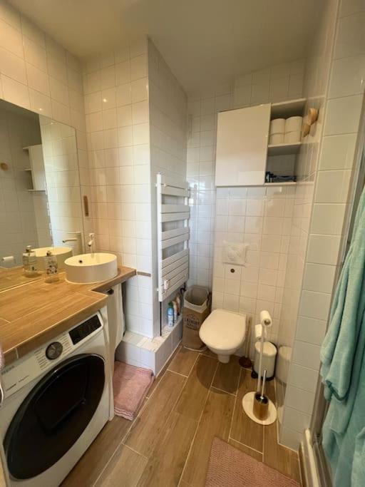 Appartement cosy orangerie - Appartamento con 1 Camera da Letto - 26
