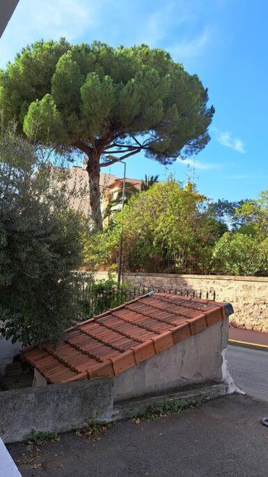 Centre ville à 5 mn à pied du Palais et plages - Appartement - 12