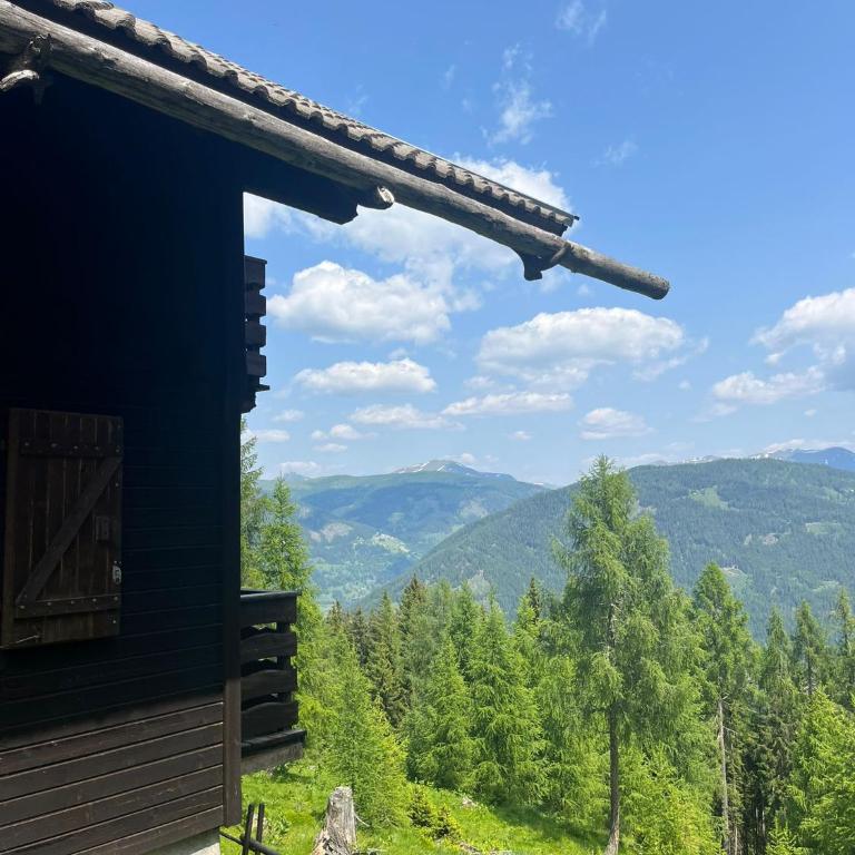 Neuwirth Hütte - Haus mit 3 Schlafzimmern - 17