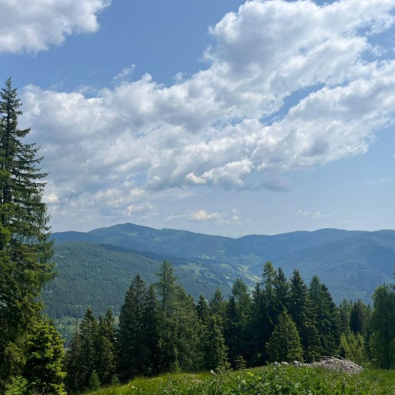 Neuwirth Hütte - Haus mit 3 Schlafzimmern - 35