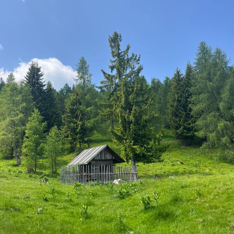 Neuwirth Hütte - Haus mit 3 Schlafzimmern - 22