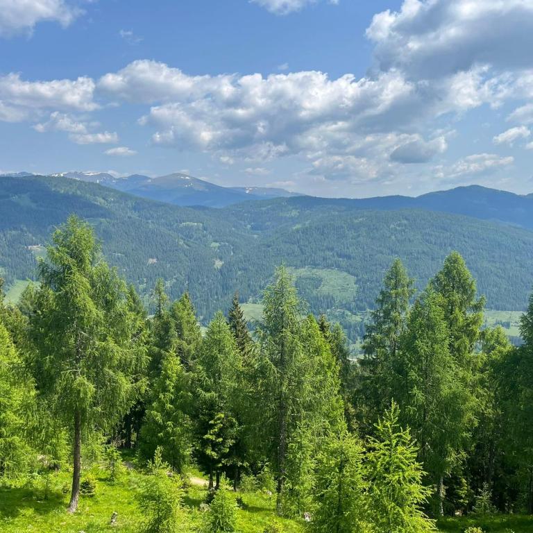 Neuwirth Hütte - Haus mit 3 Schlafzimmern - 33
