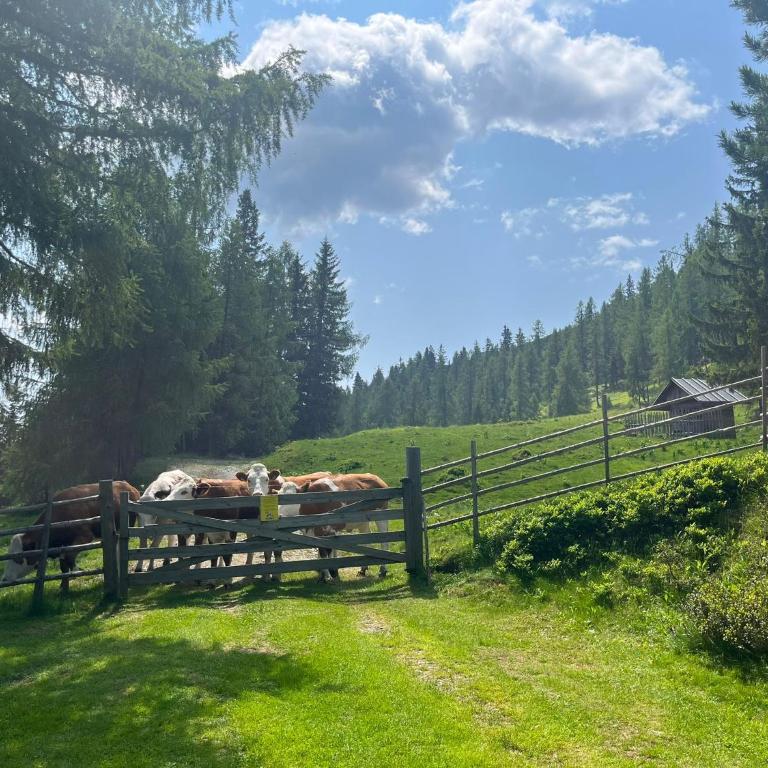 Neuwirth Hütte - Haus mit 3 Schlafzimmern - 20