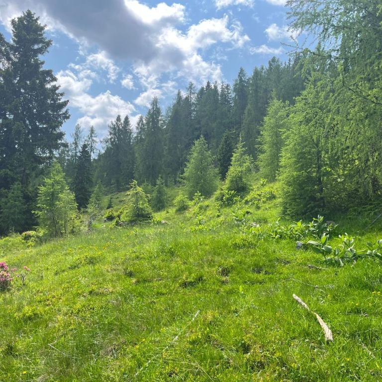 Neuwirth Hütte - Haus mit 3 Schlafzimmern - 25