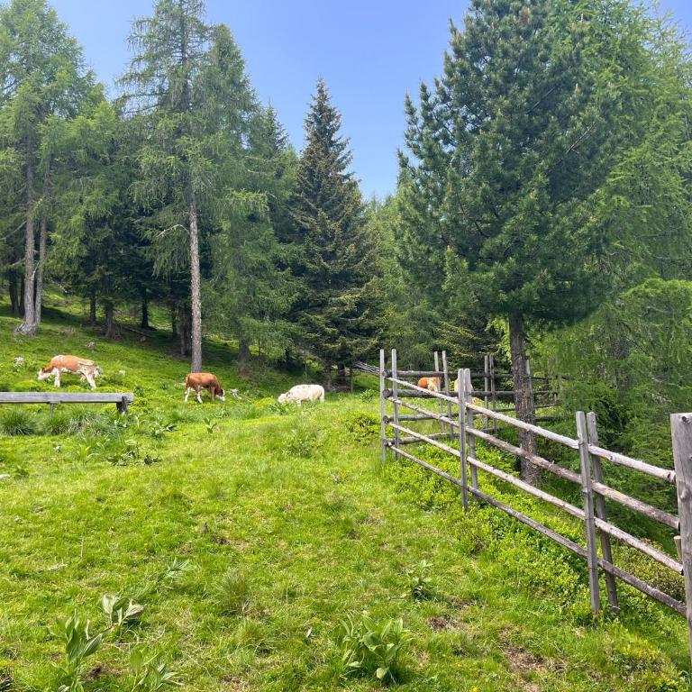 Neuwirth Hütte - Haus mit 3 Schlafzimmern - 21