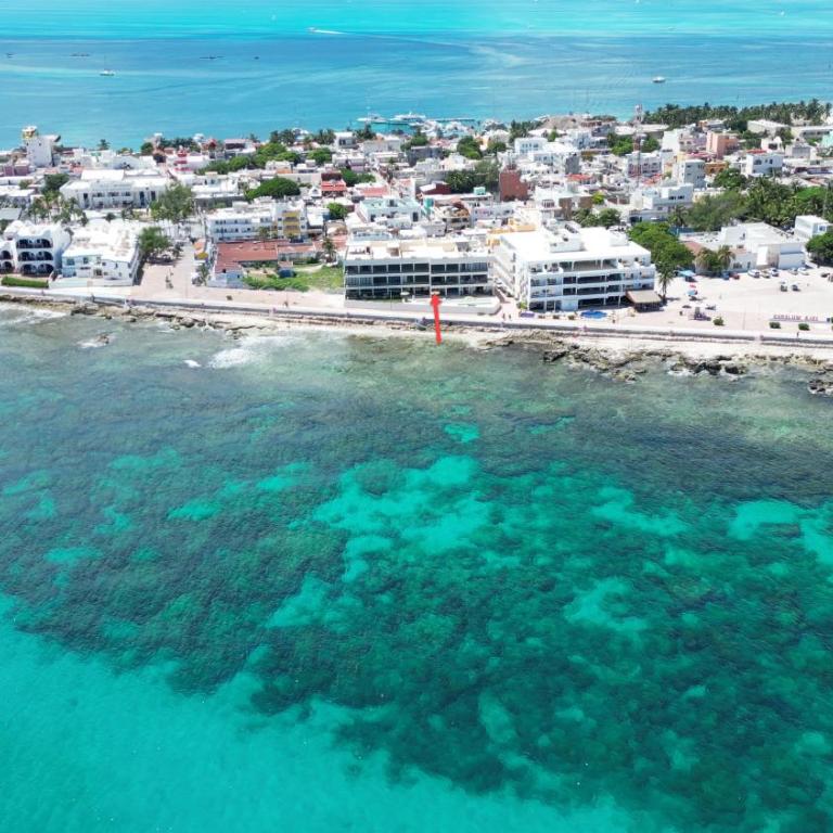 OceanDreams 3BR 2BA - New Condo - Fantastic Views - Apartment with Sea View - 4
