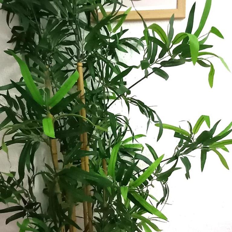 Céntrico apartamento en Córdoba by beBalmy - Apartamento de 3 dormitorios - 6
