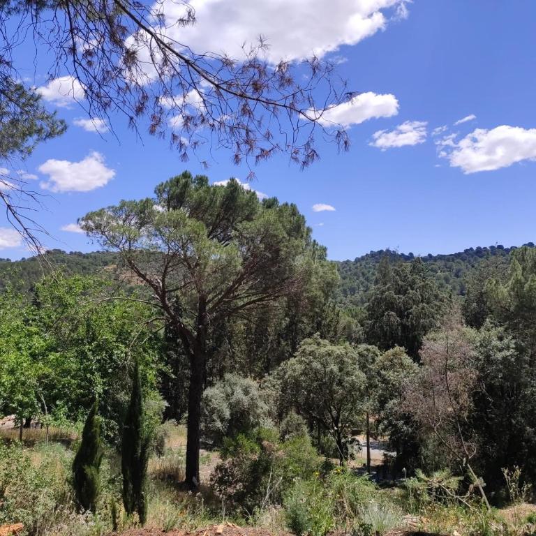 Bonita casa blanca en el bosque. - Two-Bedroom House - 6