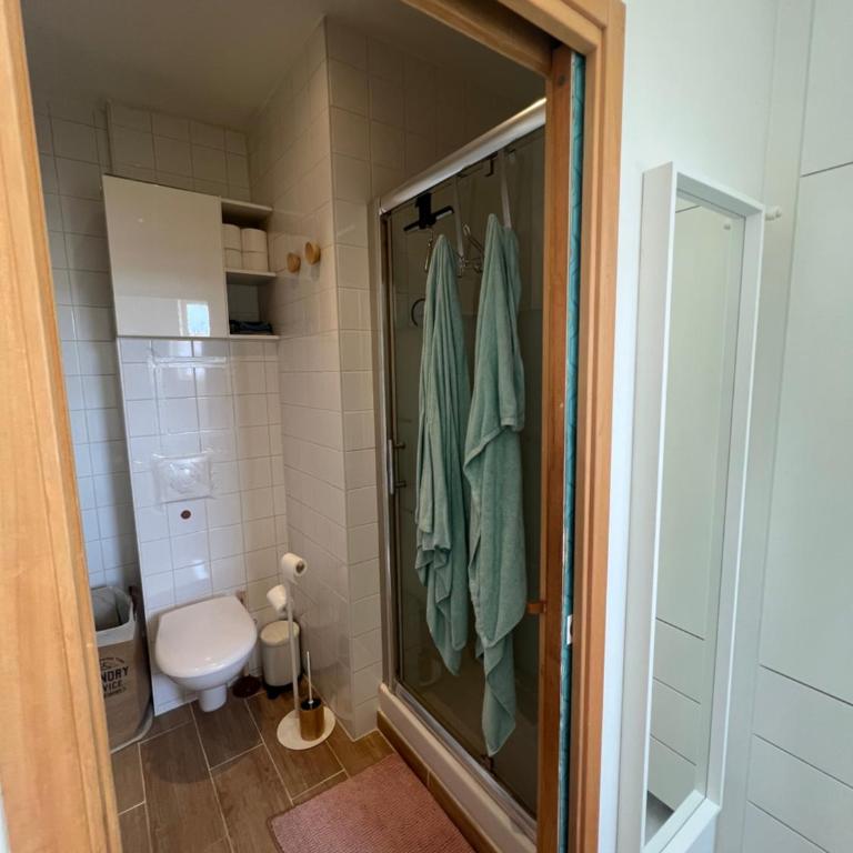 Appartement cosy orangerie - Appartamento con 1 Camera da Letto - 3