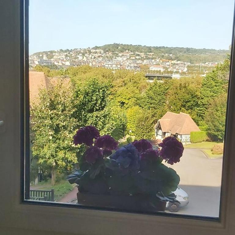 Appartement Domaine des Yearlings DEAUVILLE - Appartamento con 1 Camera da Letto - 20