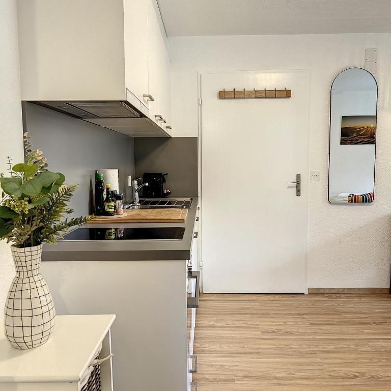 Central Zermatt Hideaway - Apartamento de 1 dormitorio - 12