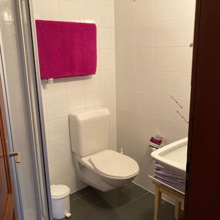 Chalet Leiggener - Apartment mit Dusche - 12