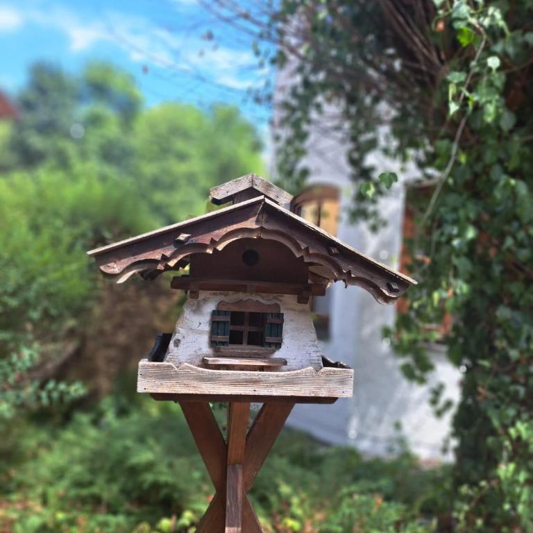 Appartementhaus Kastanie - Kleines Doppelzimmer - 15