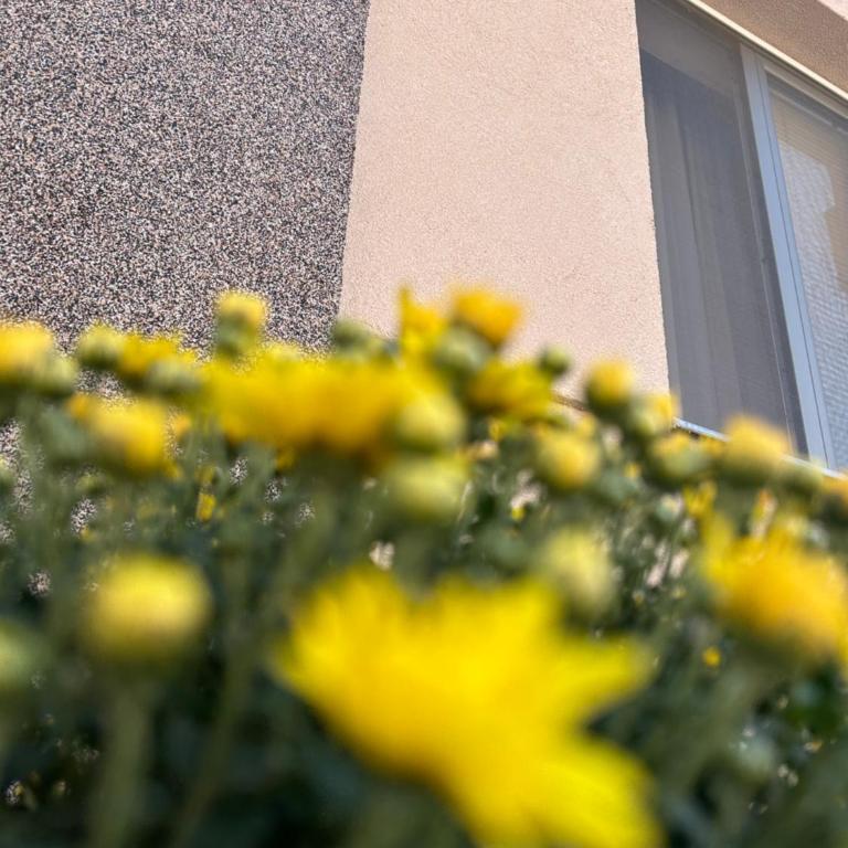 Apartman Teodora - One-Bedroom Apartment - 38