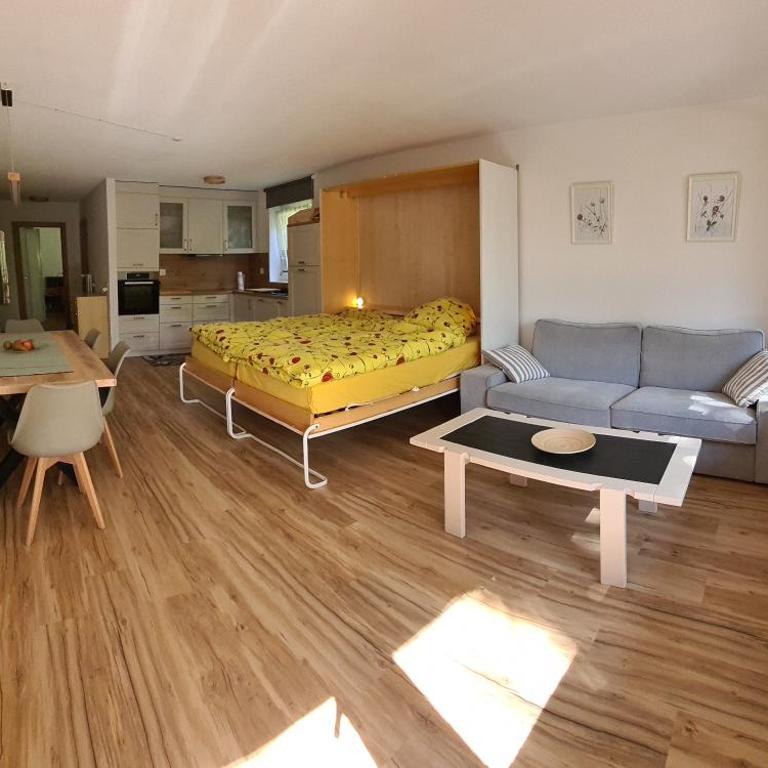 Apartments Haus Quelle - Appartamento con 1 Camera da Letto - 3