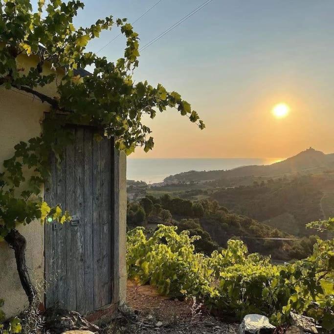 Charmant T2 au calme avec vue mer, proche centre de Collioure et parking - One-Bedroom Apartment - 19