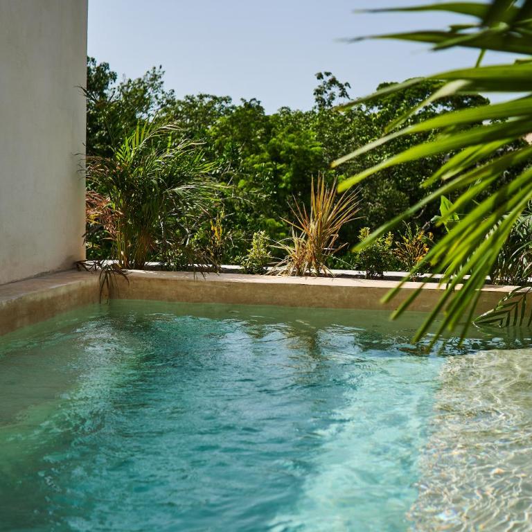 Spacious & Comfy Penthouse Oasis with Plunge Pool - Apartamento de 3 dormitorios - 3